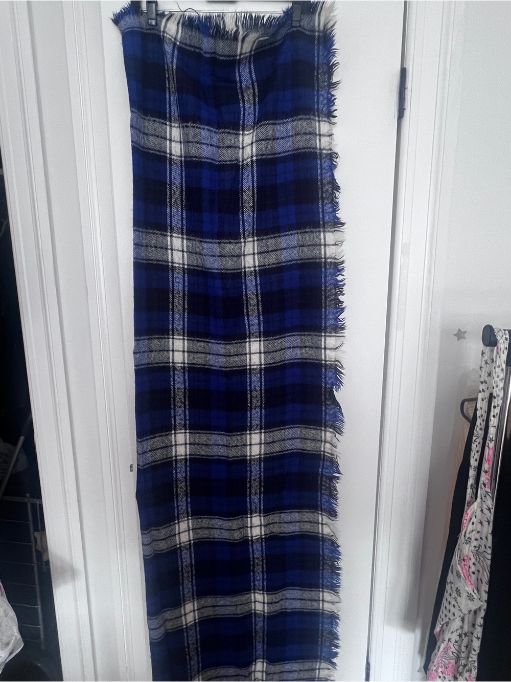 Zara Blue and Black Plaid Fringe Scarf